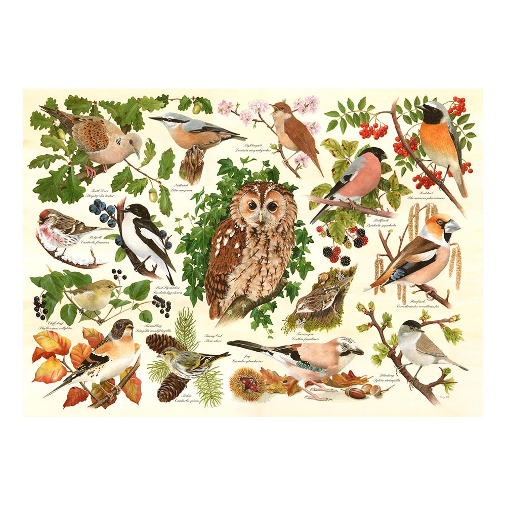 Woodland Birds BIG 500 Puzzle (3 Years +)