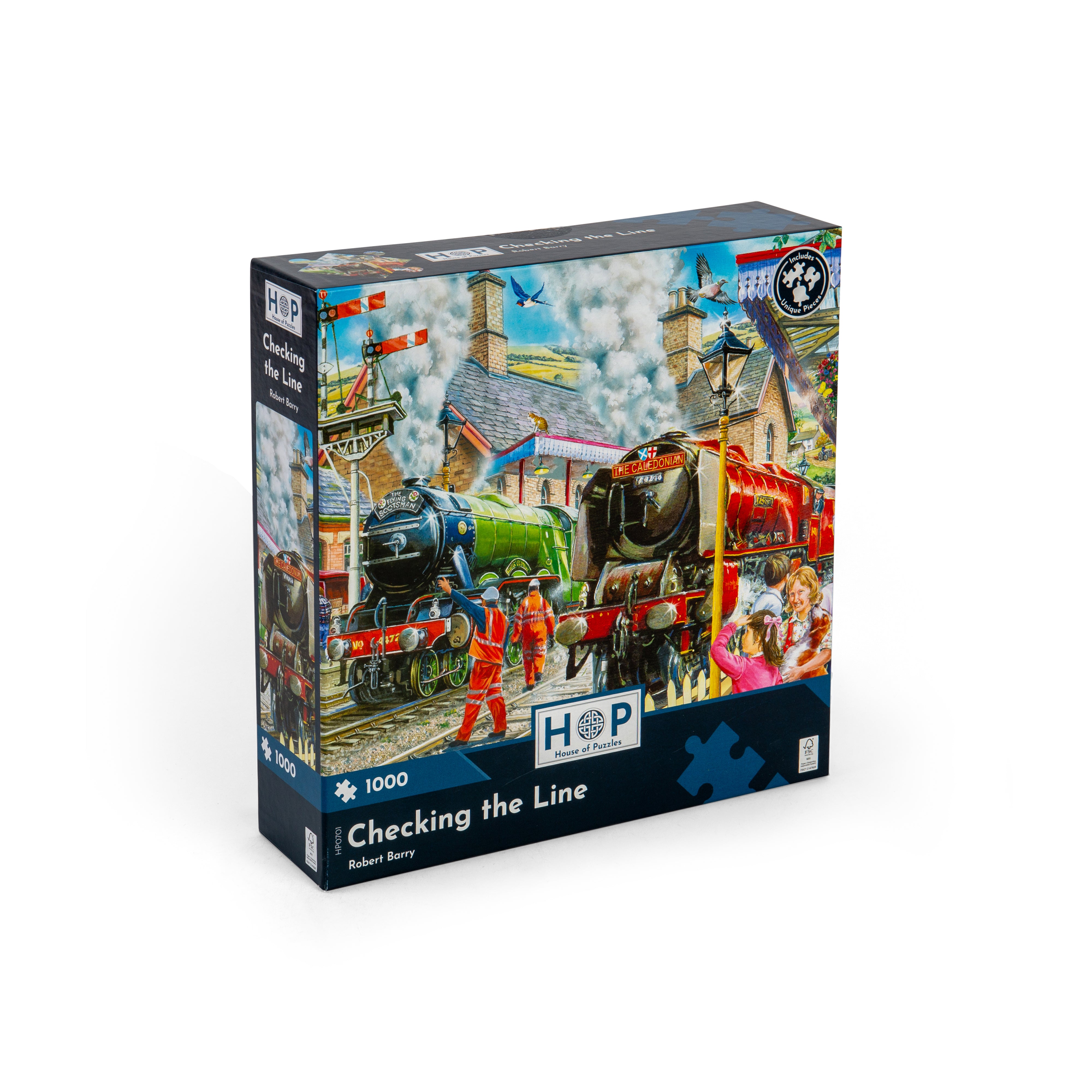 Checking the Line 1000 Piece Puzzle (3 Years +)