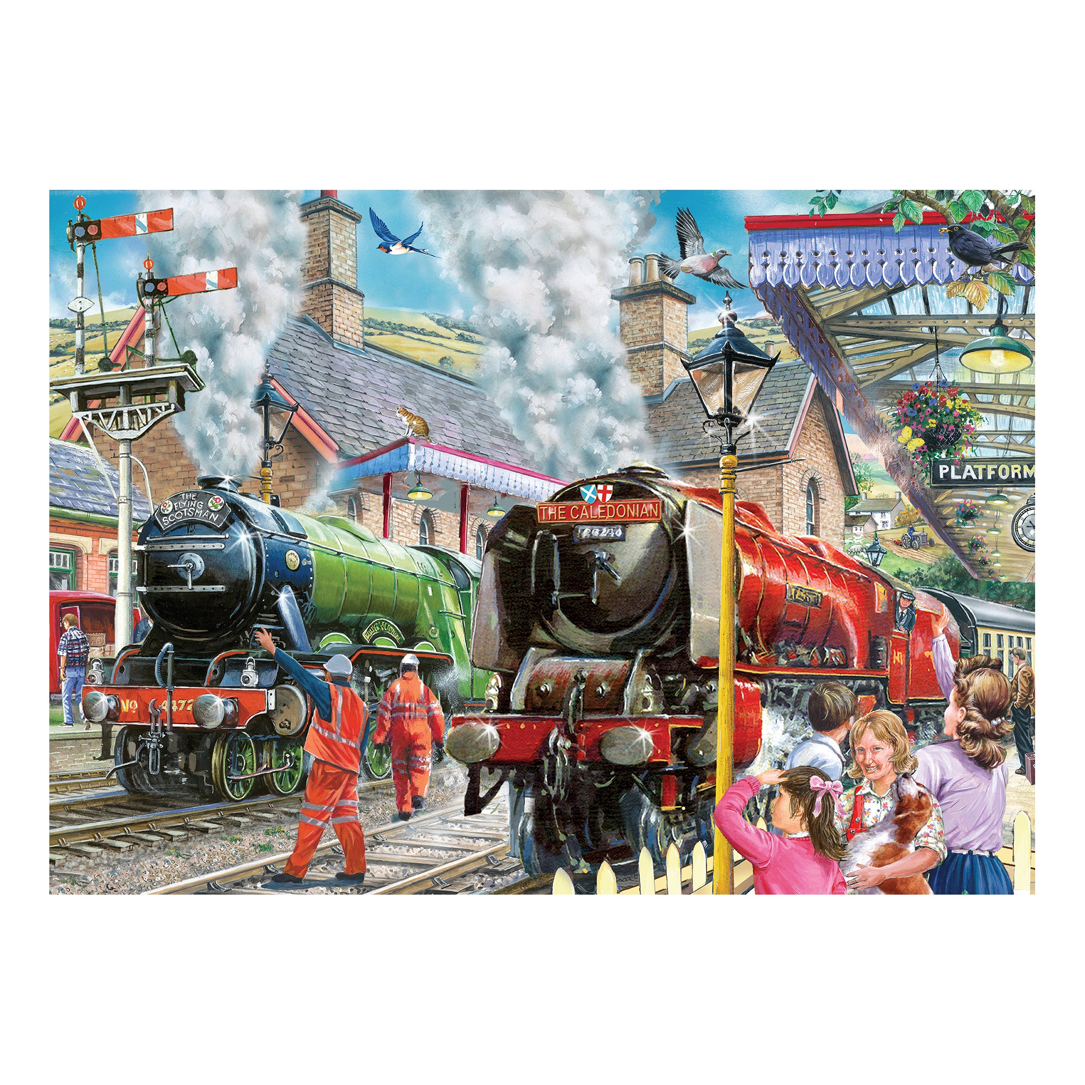 Checking the Line 1000 Piece Puzzle (3 Years +)