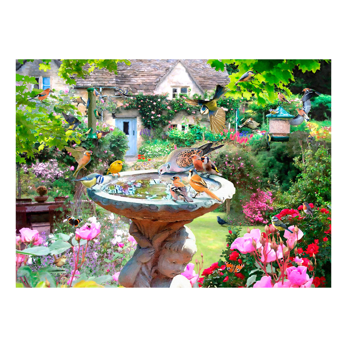 Summer Birds 1000 Piece Puzzle (3 Years +)