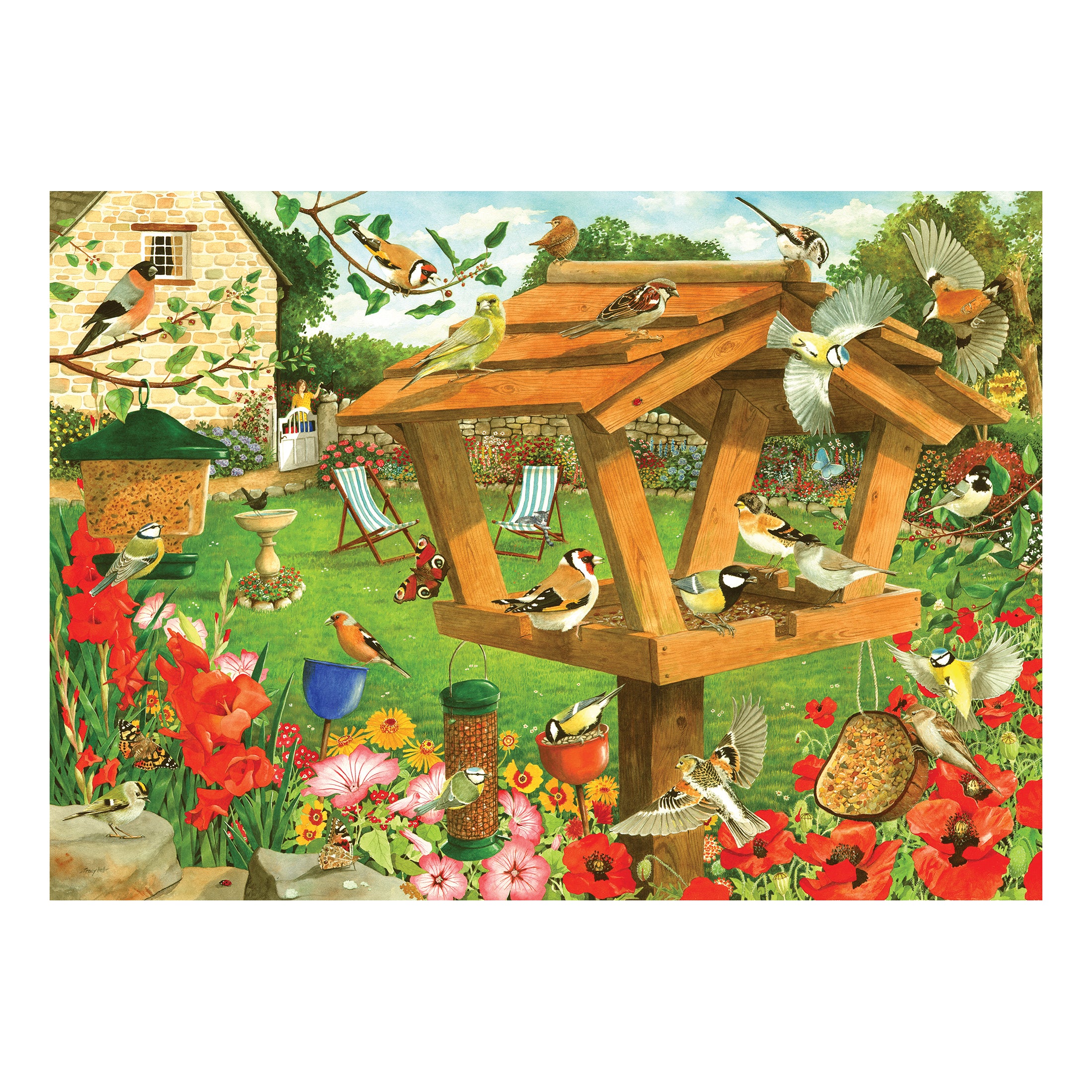 Strictly For The Birds BIG 250 Puzzle (3 Years +)