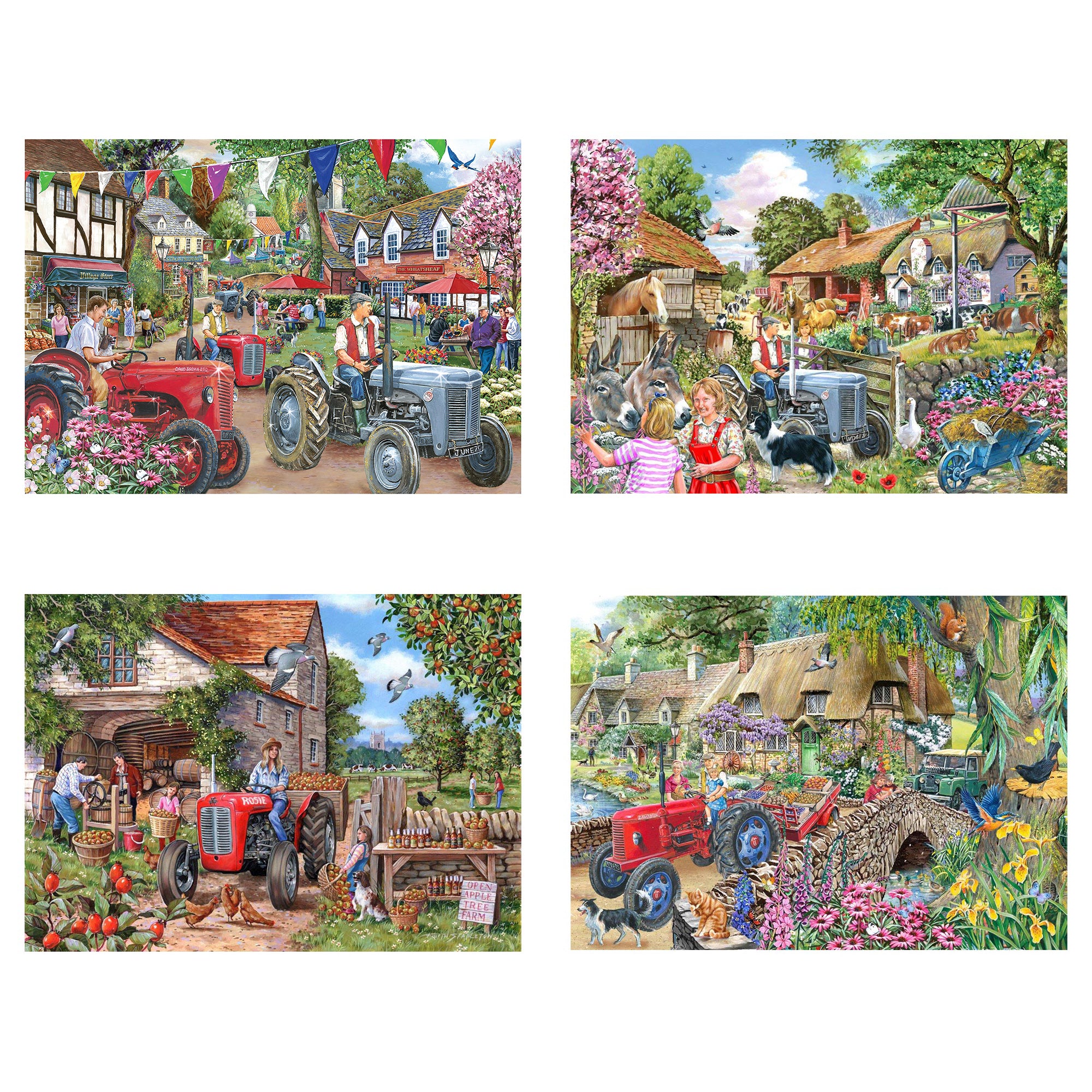 Farmer's Friends - 4 x BIG 250 Piece (3 Years +)