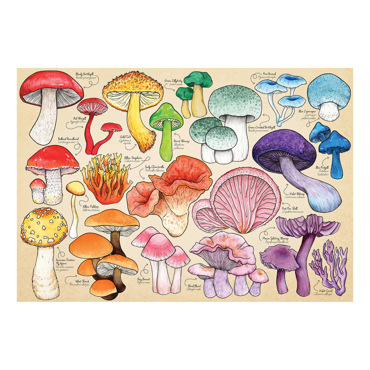 Mushroom Mania Puzzle Tube - 150 Piece (6)