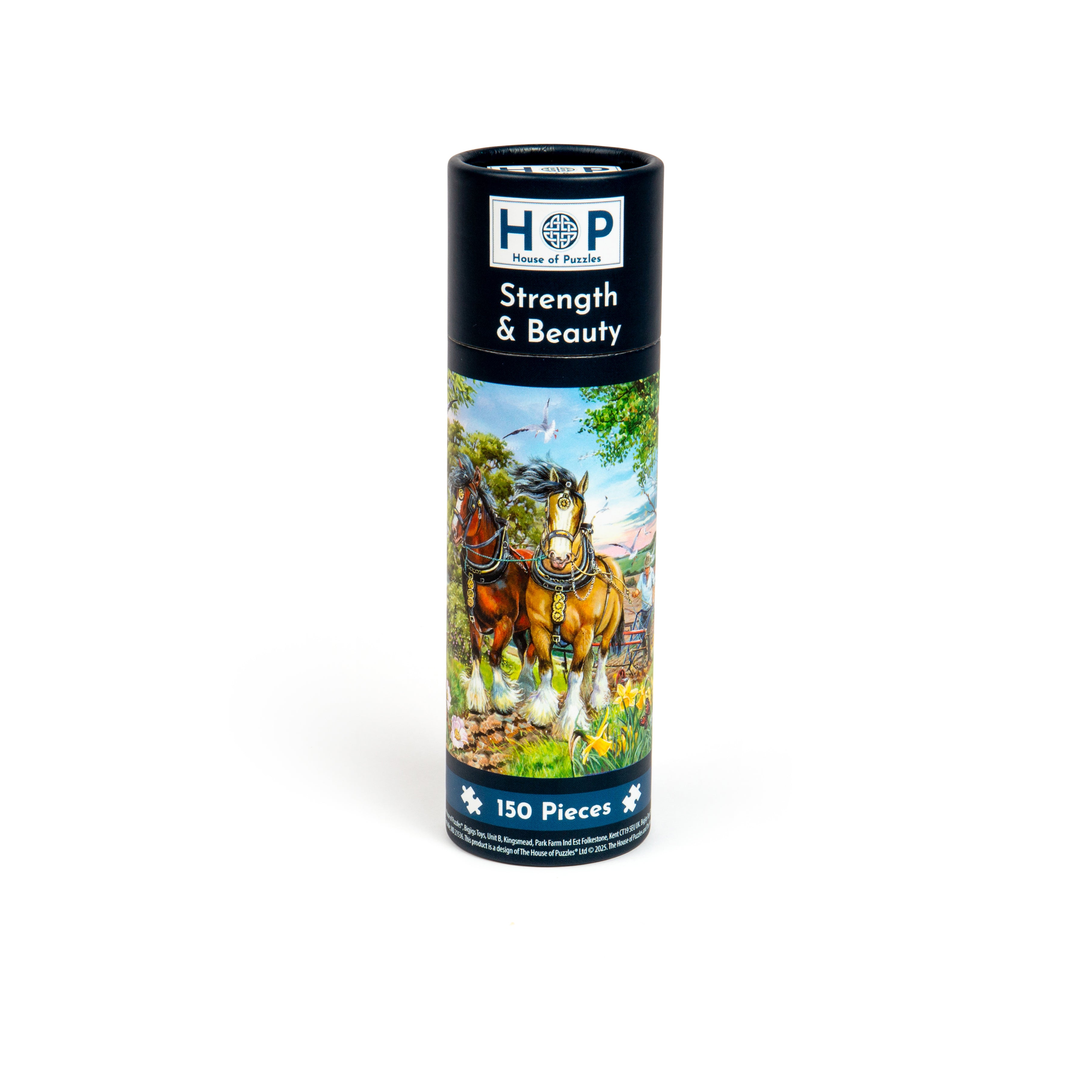 Strength & Beauty Puzzle Tube - 150 Piece (6)