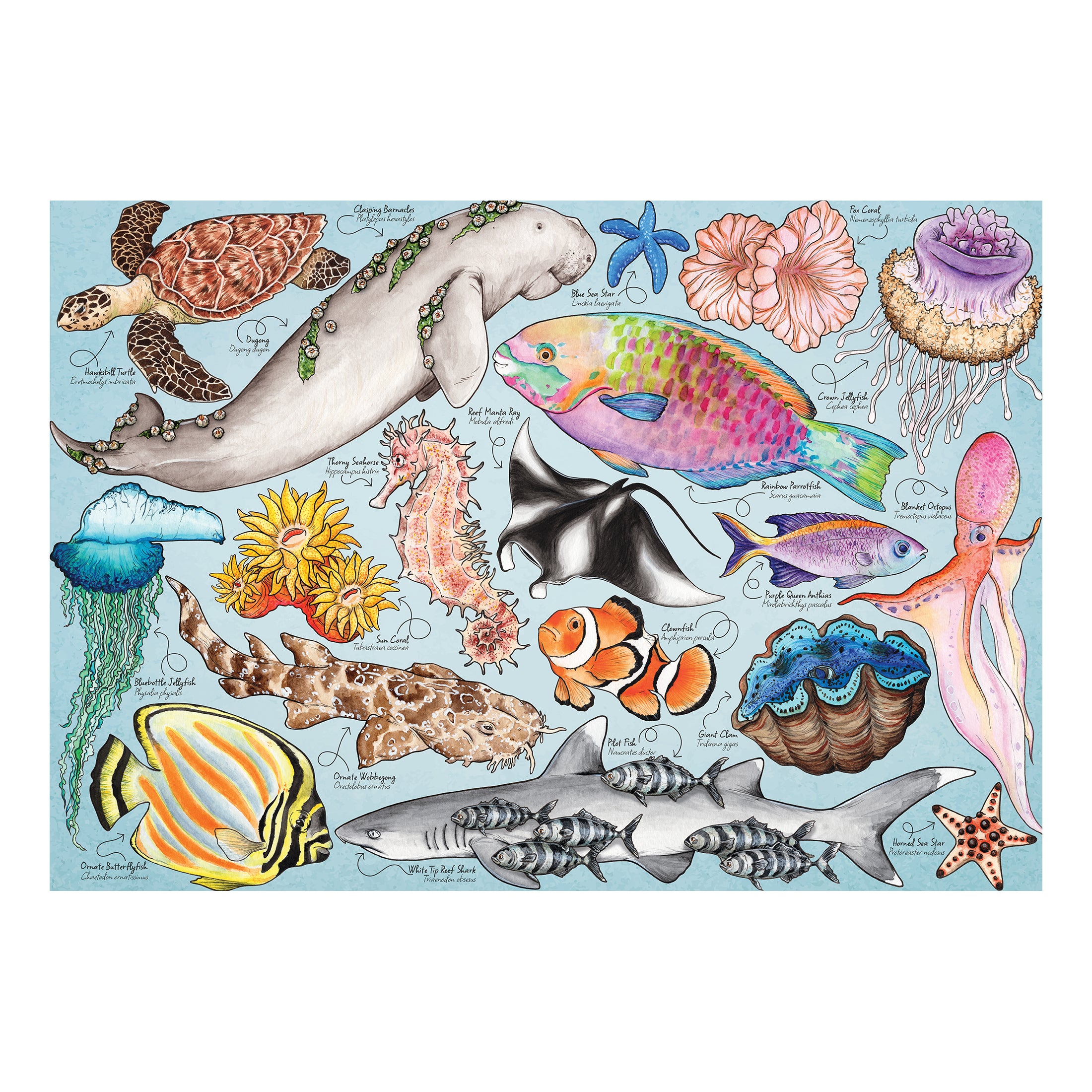 Great Barrier Reef 1000 Piece Puzzle