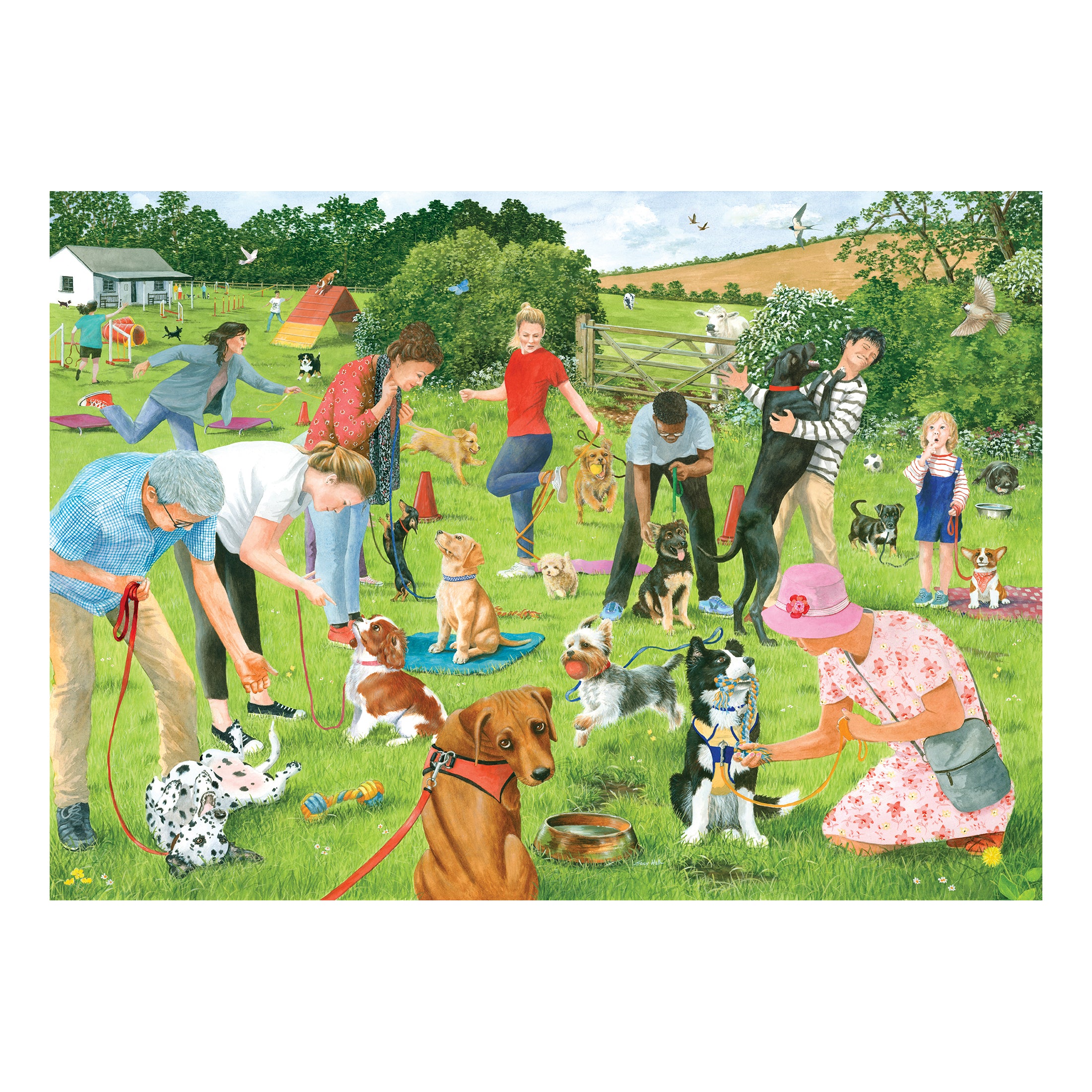 Puppy School 500 Piece Puzzle