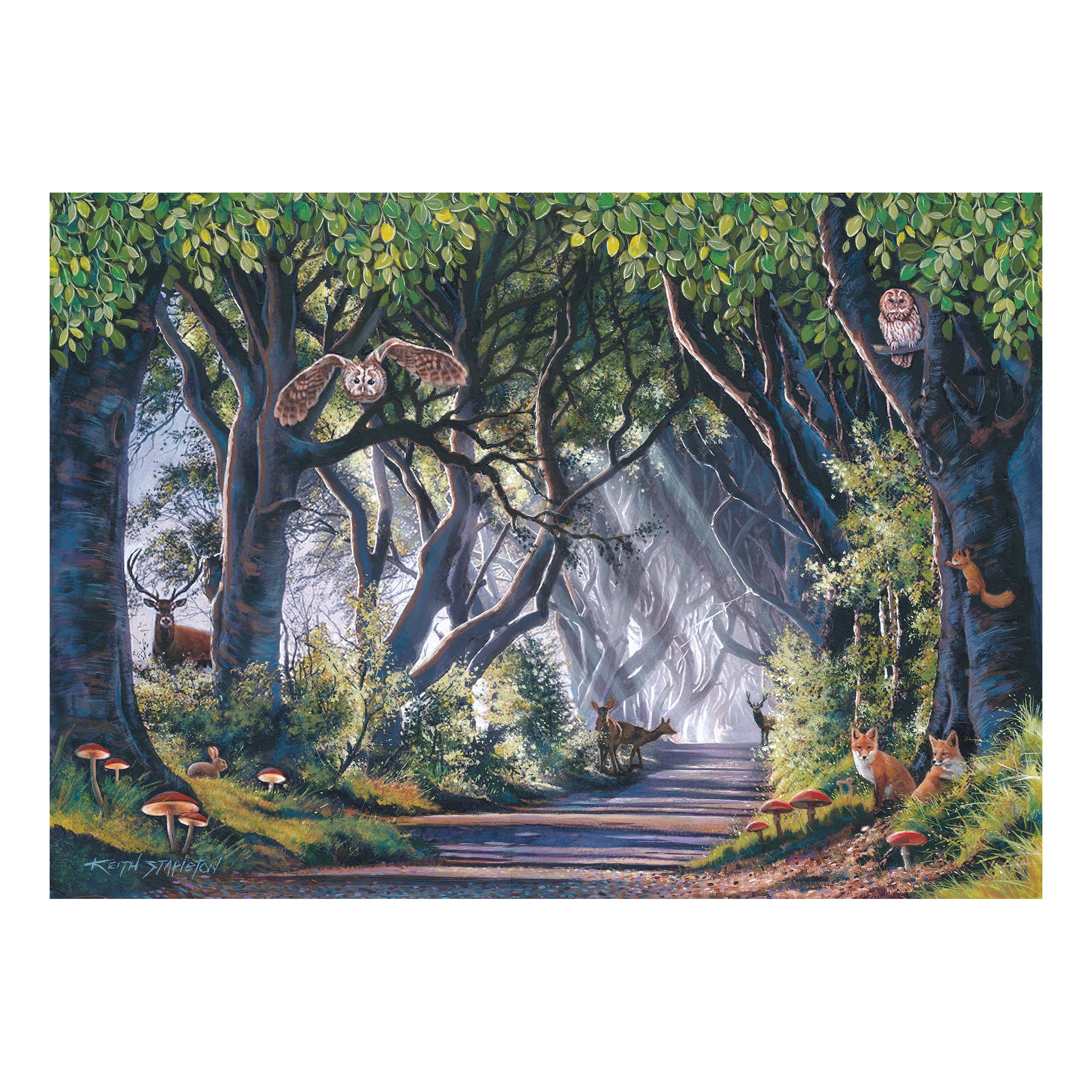 Dark Hedges 500 Piece Puzzle