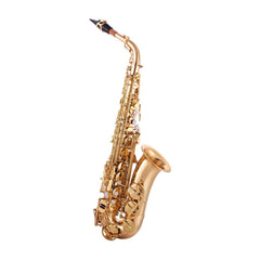 John Packer JP041 student Eb alto saxophone outfit
