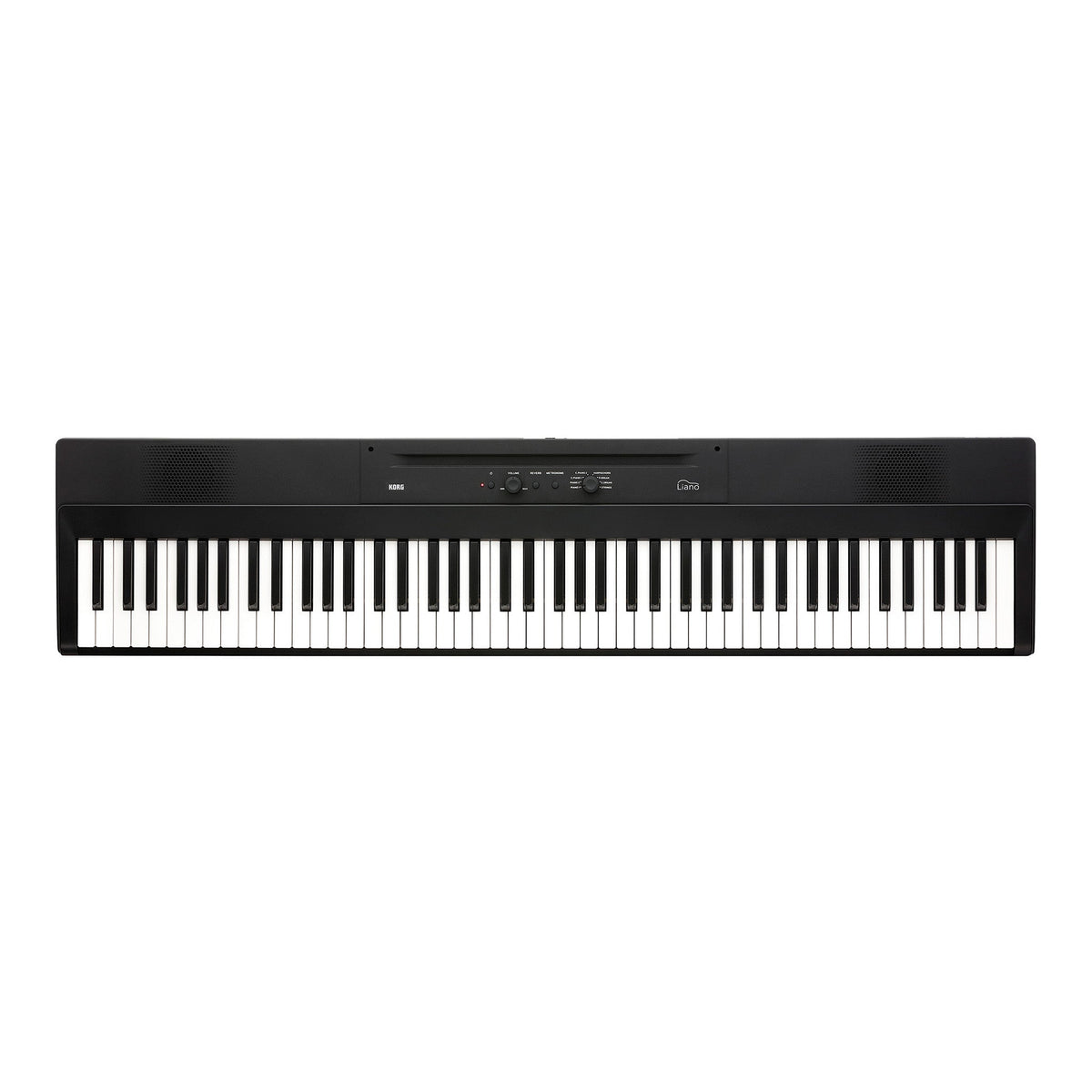Korg L1 Liano portable digital piano