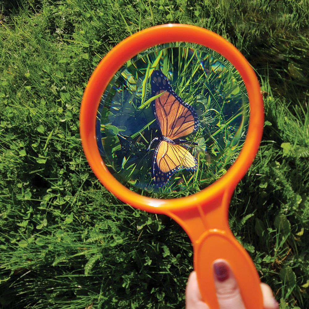 Large Hand Held Magnifier , each