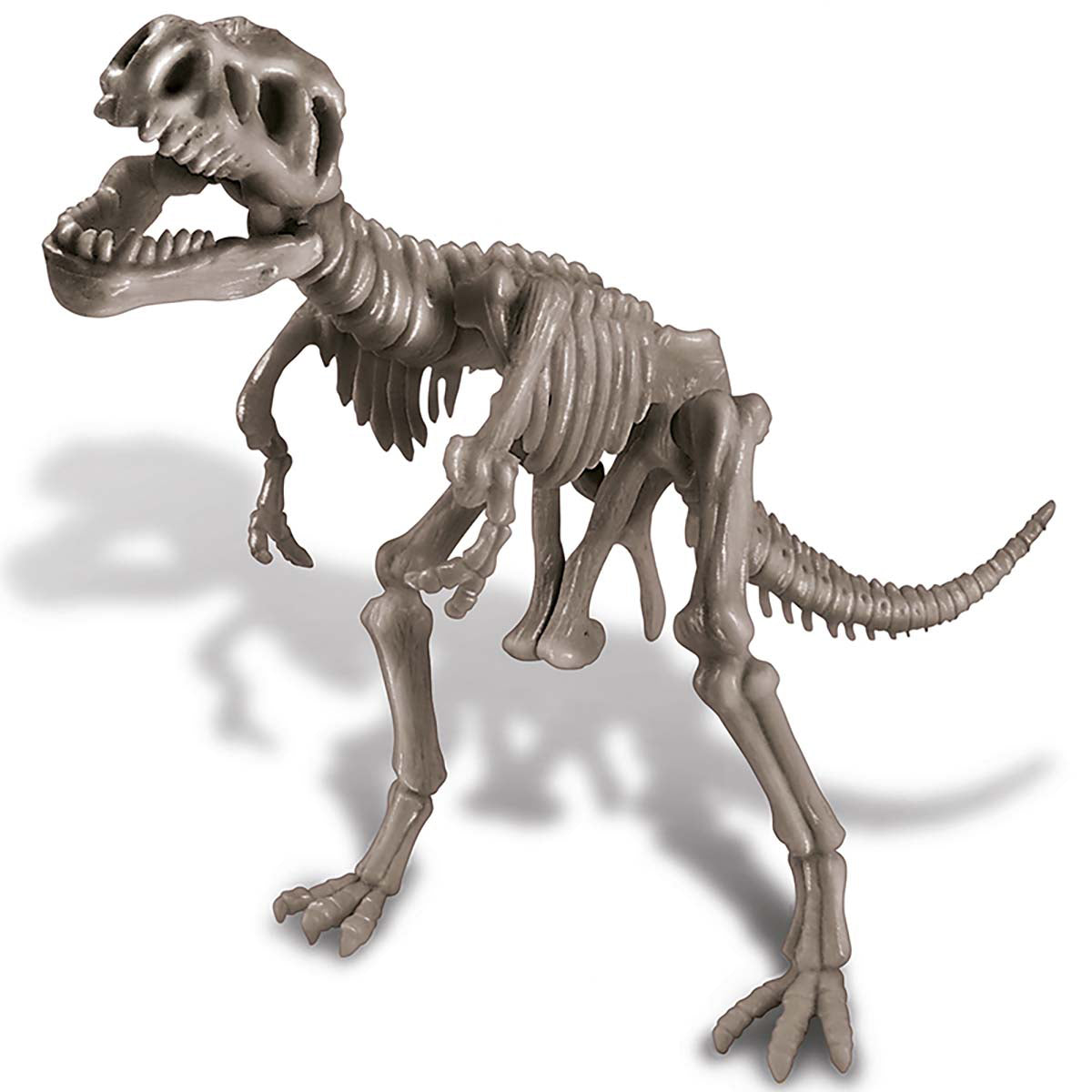 KidzLabs - Dig a Dinosaur Skeleton - Tyrannosaurus Rex (8 Years +)