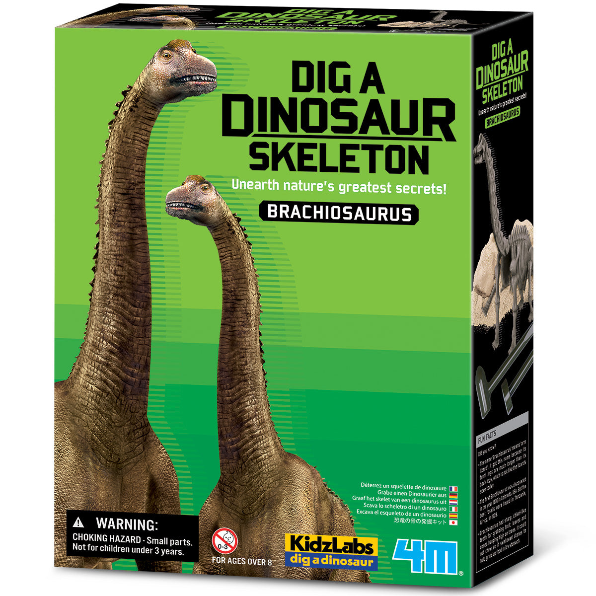KidzLabs - Dig a Dinosaur Skeleton - Brachiosaurus (8 Years +)