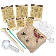 KidzLabs - Creepy Crawly Digging Kit (5 Years +)
