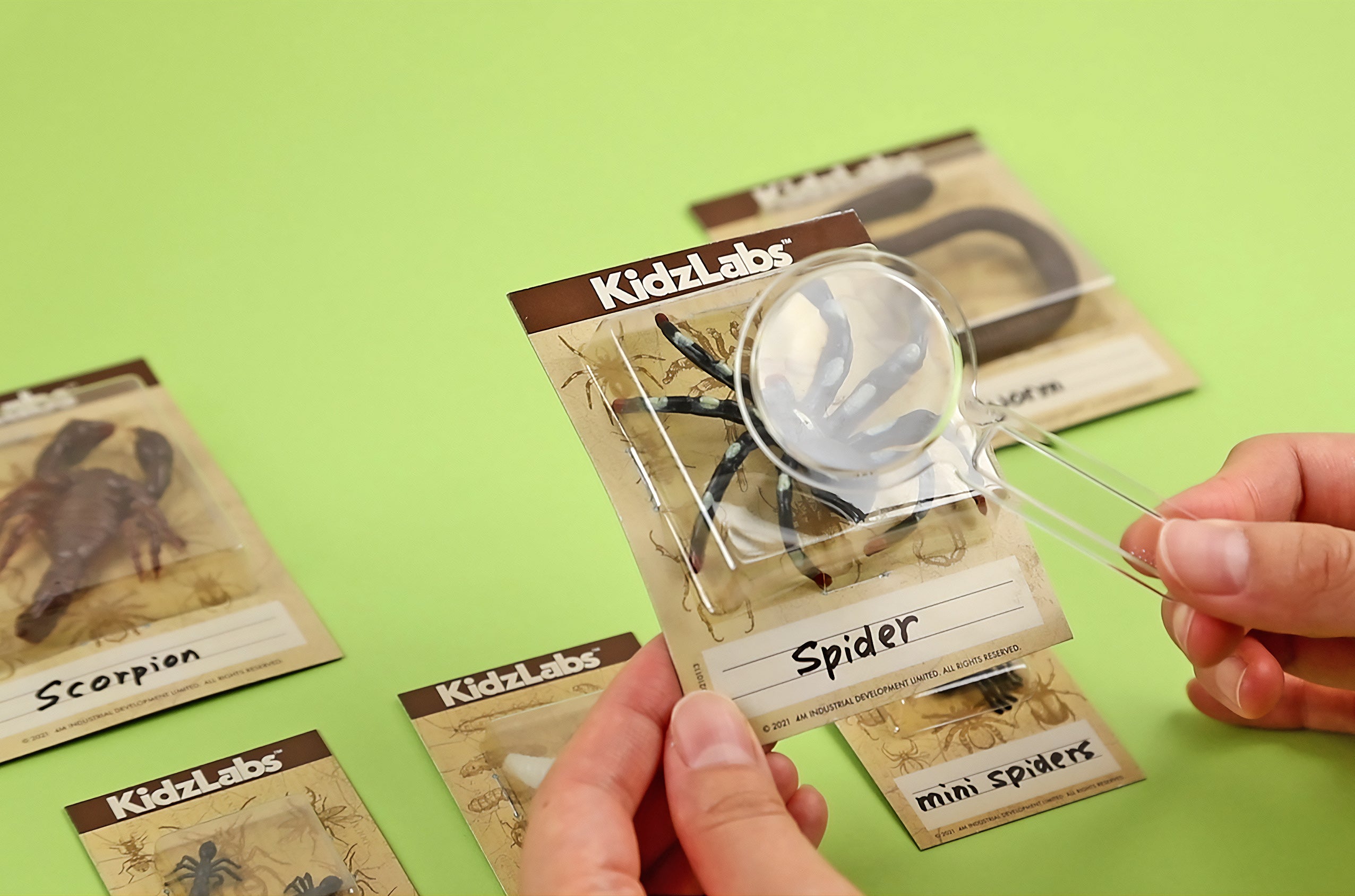 KidzLabs - Creepy Crawly Digging Kit (5 Years +)