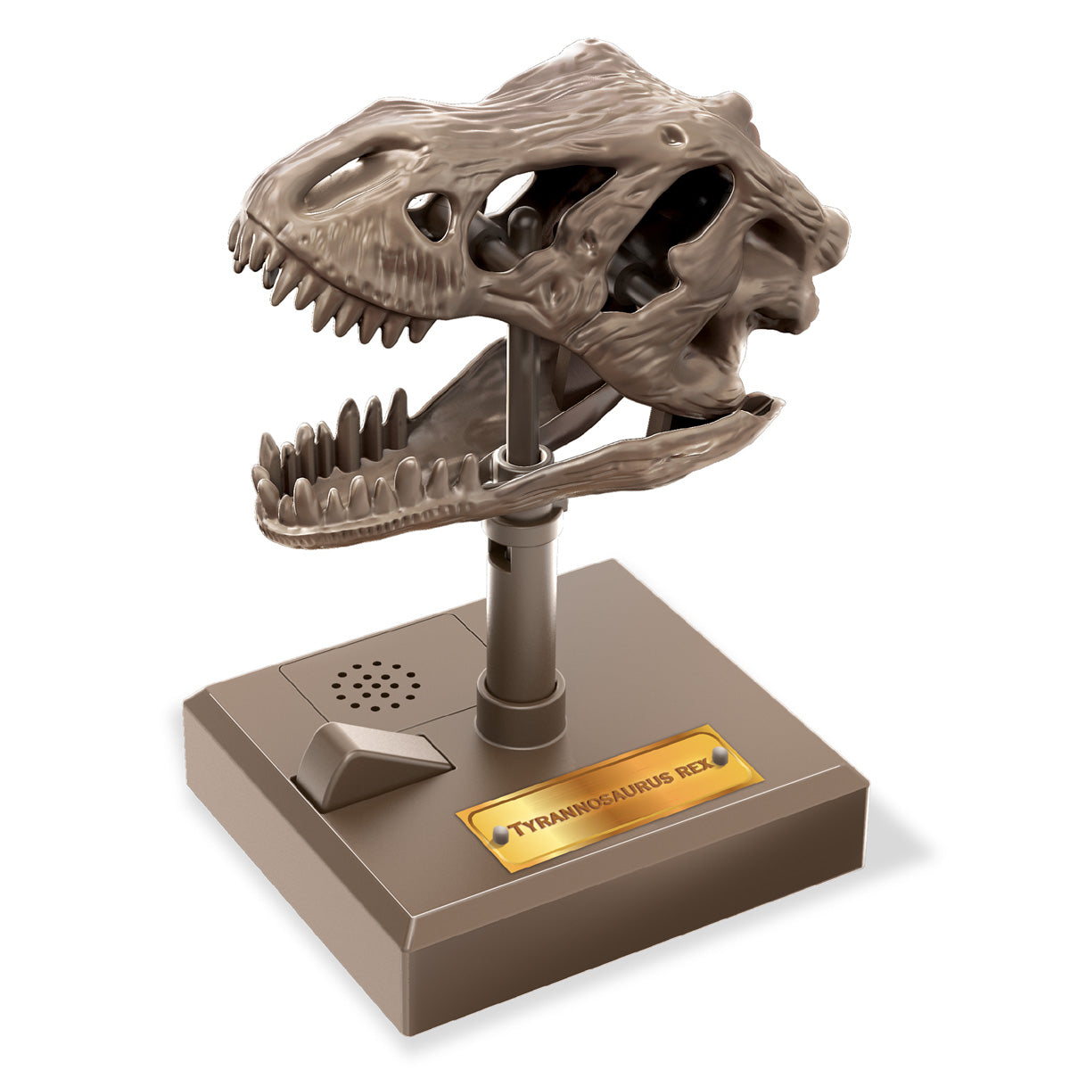 KidzLabs - Roaring T-Rex Skull (5 Years +)