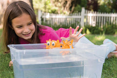 Green Science - Aqua Robot (5 Years +)