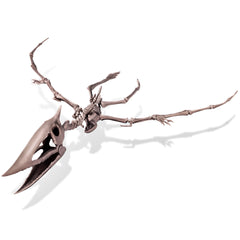 KidzLabs - Dig a Pteranodon Skeleton (8 Years +)