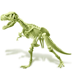 Kidzlabs - Glowing T-Rex Skeleton (5 Years +)