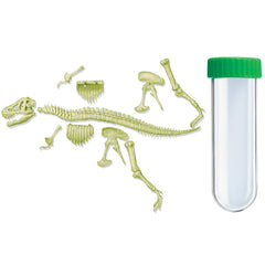 Kidzlabs - Glowing T-Rex Skeleton (5 Years +)
