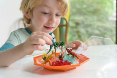 Crystal Growing - Dino Crystal Terrarium (10 Years +)