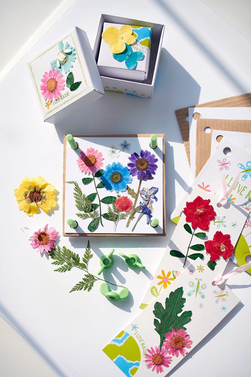 Green Creativity - Pressed Flower Art (5 Years +)