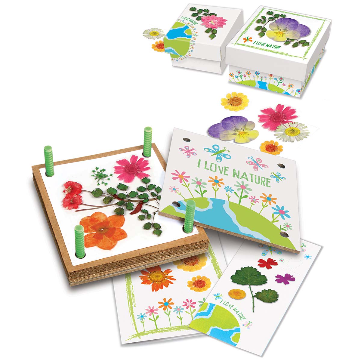 Green Creativity - Pressed Flower Art (5 Years +)