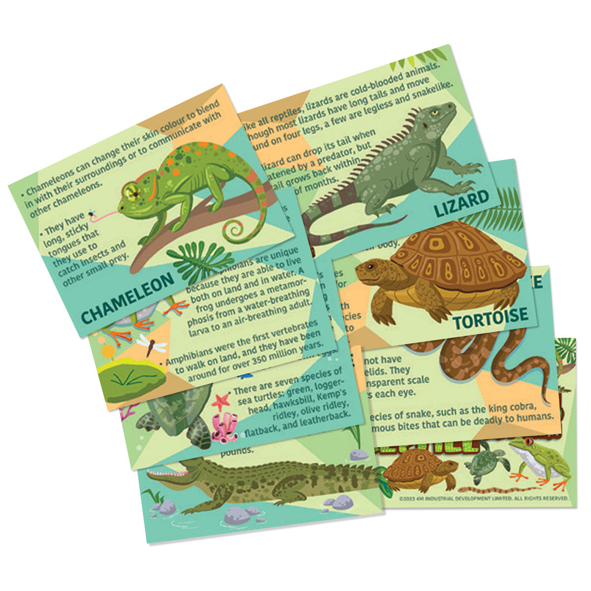 Mould & Paint - Reptile & Amphibian (5 Years +)