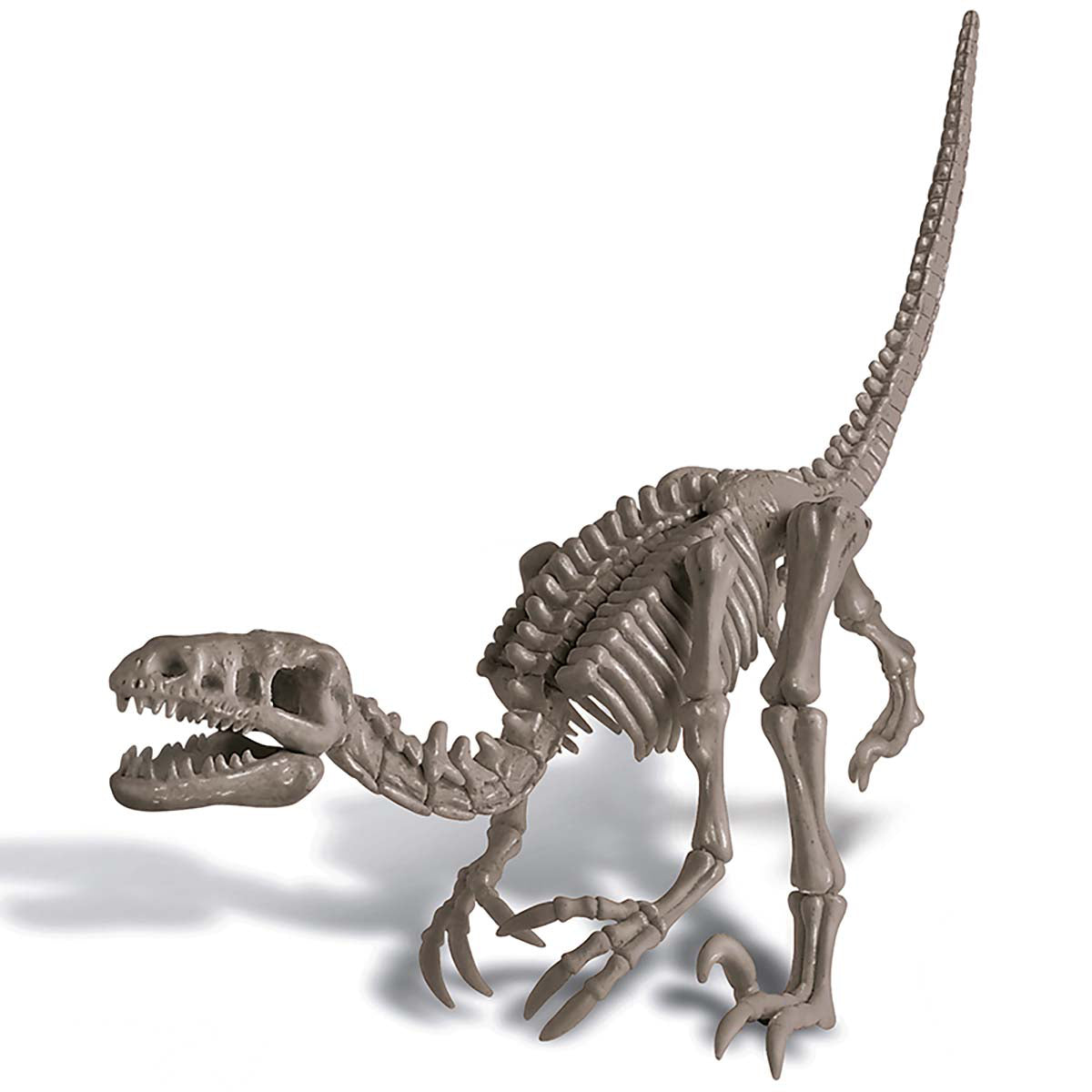 KidzLabs - Dig a Dinosaur Skeleton - Velociraptor (8 Years +)