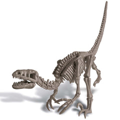 KidzLabs - Dig a Dinosaur Skeleton - Velociraptor (8 Years +)