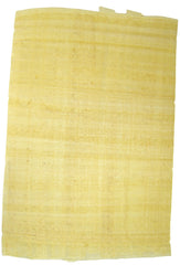 Papyrus Pack 10 w/ info sheet