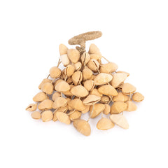 Percussion Plus Honestly Made Natural seed shaker