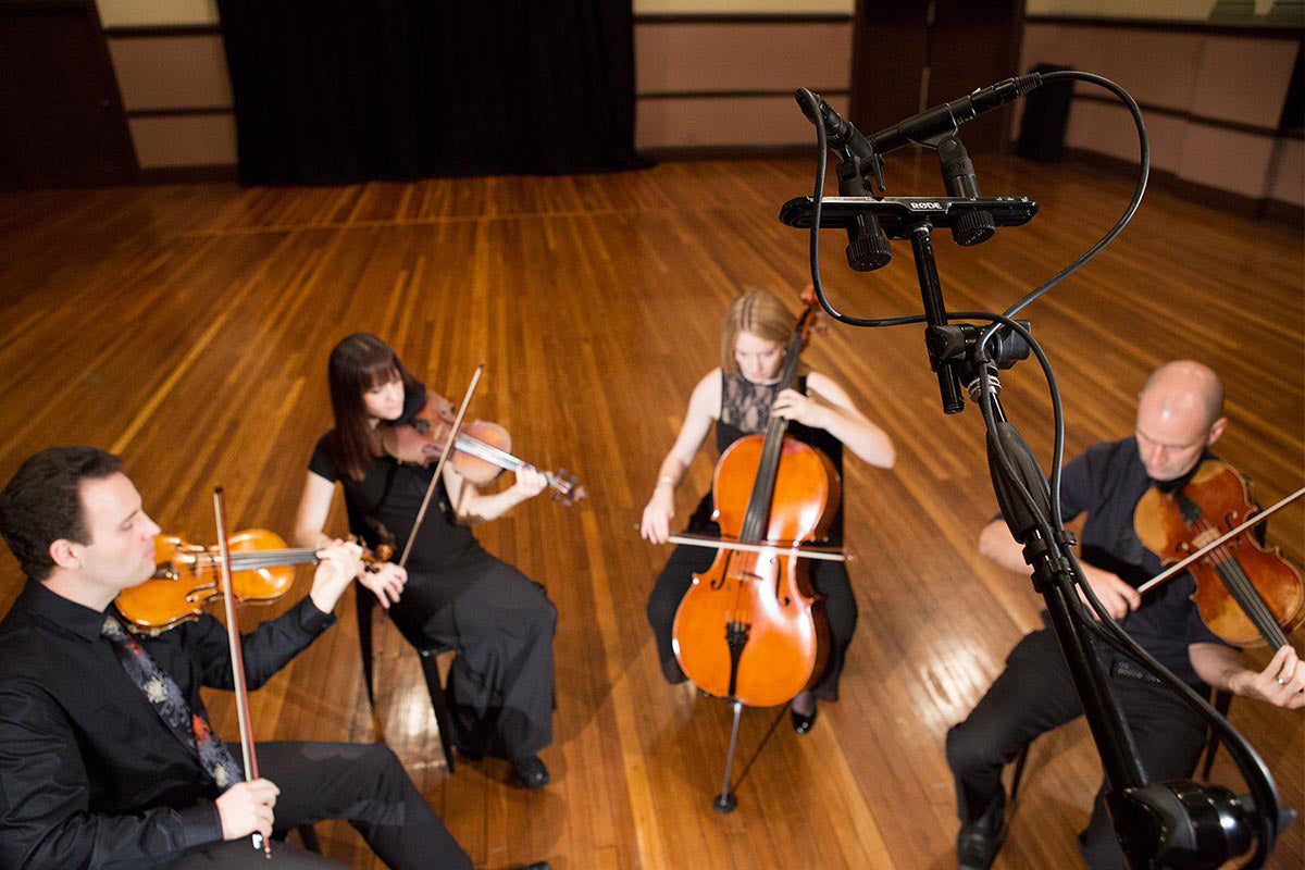 Rode M5 condenser microphone - matched pair