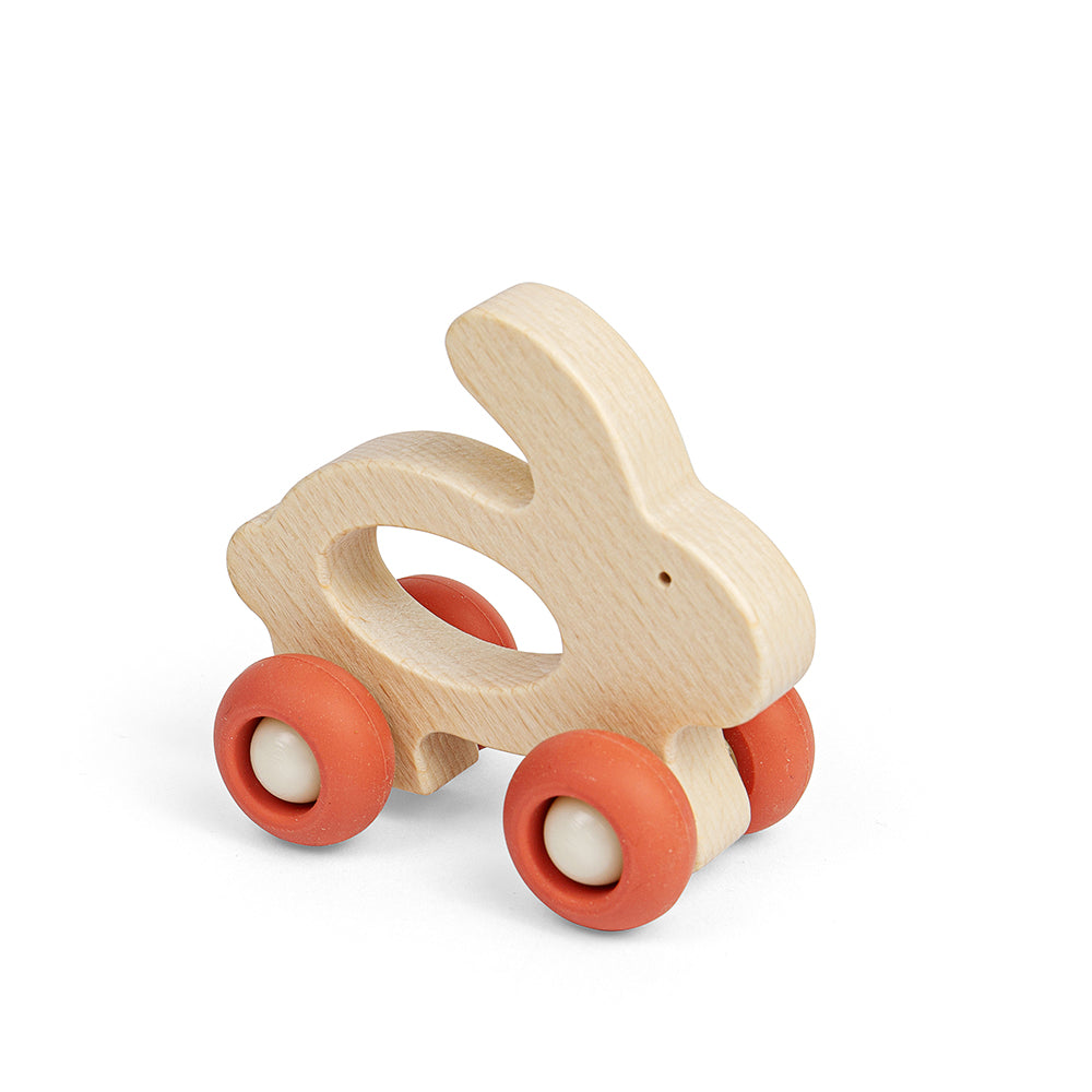 Mini Animal Push Alongs (6) (12 Months +)