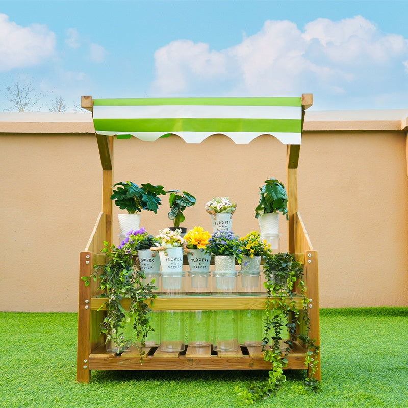 Root Observation
Box