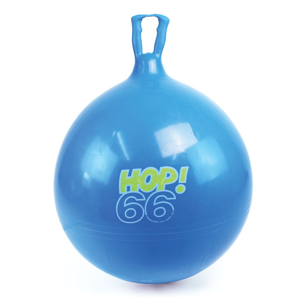 HOPPER 66, BLUE, OVER 9YRS