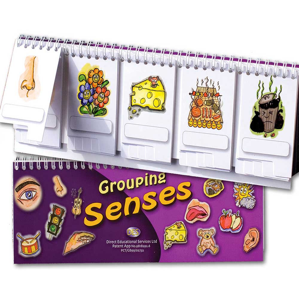 Grouping Senses flip book , each
