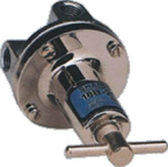 AIR PRESSURE REGULATOR 2 OUTLET