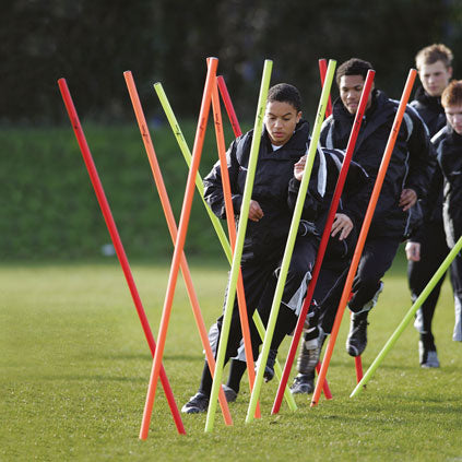 PRECISION BOUNDARY POLES SET OF 12