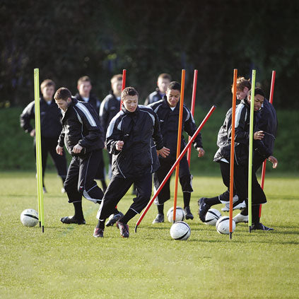 PRECISION SPRING-BASE BOUNDARY POLES SET OF 12