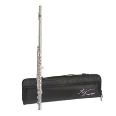 Trevor James 10XE-P student flute outfit