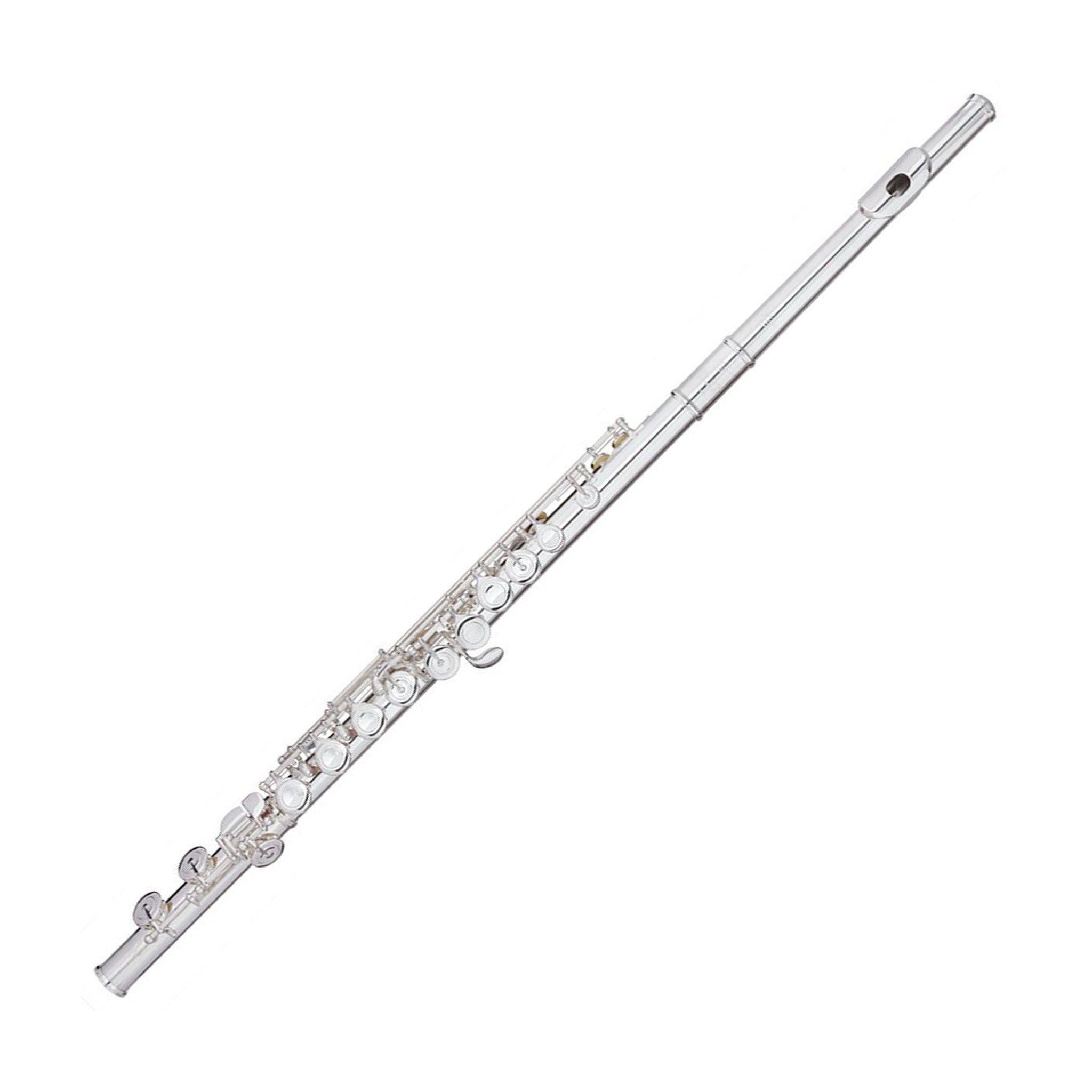 Trevor James Virtuoso intermediate flute outfit