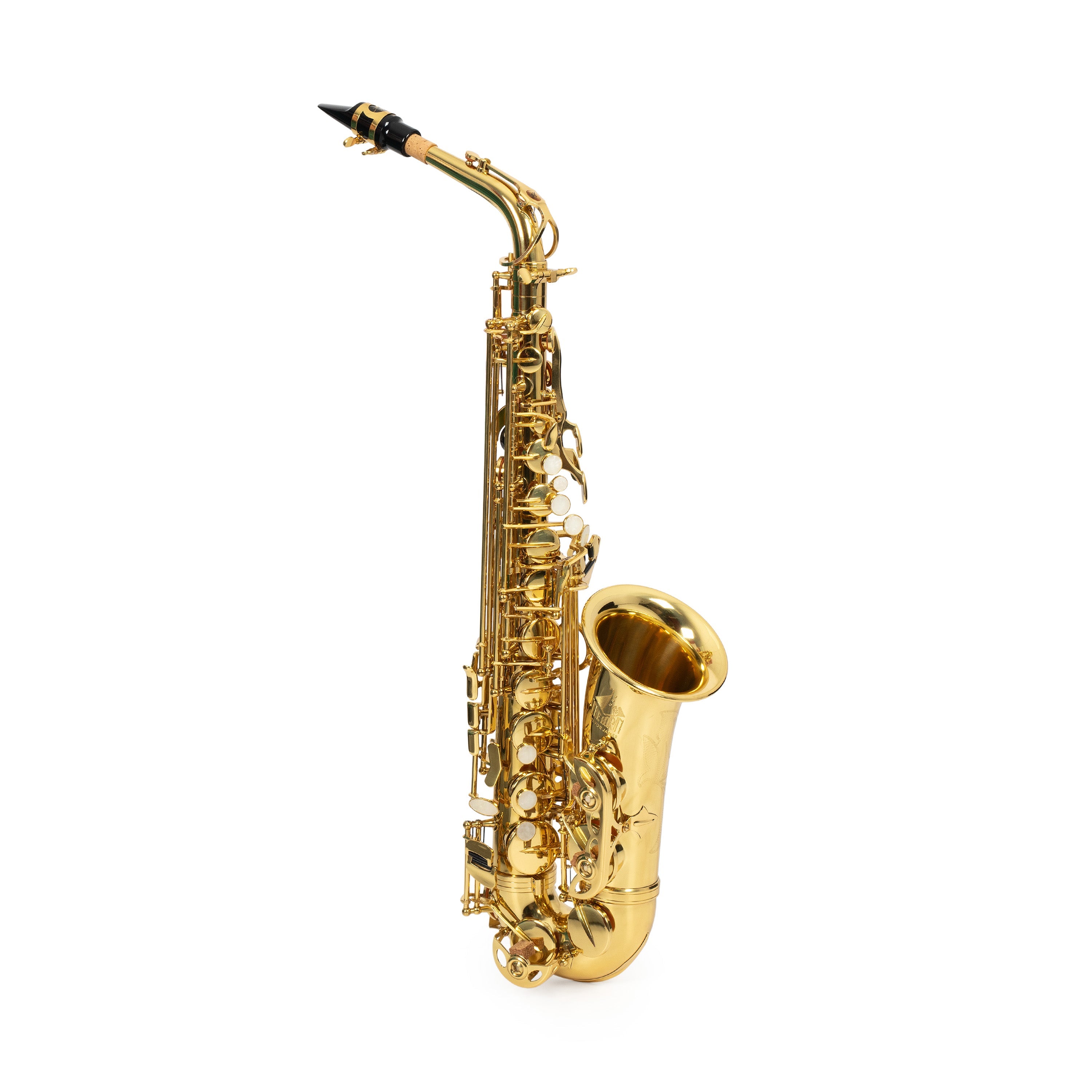 Trevor James The Horn student Eb alto saxophone outfit