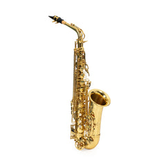 Trevor James The Horn student Eb alto saxophone outfit