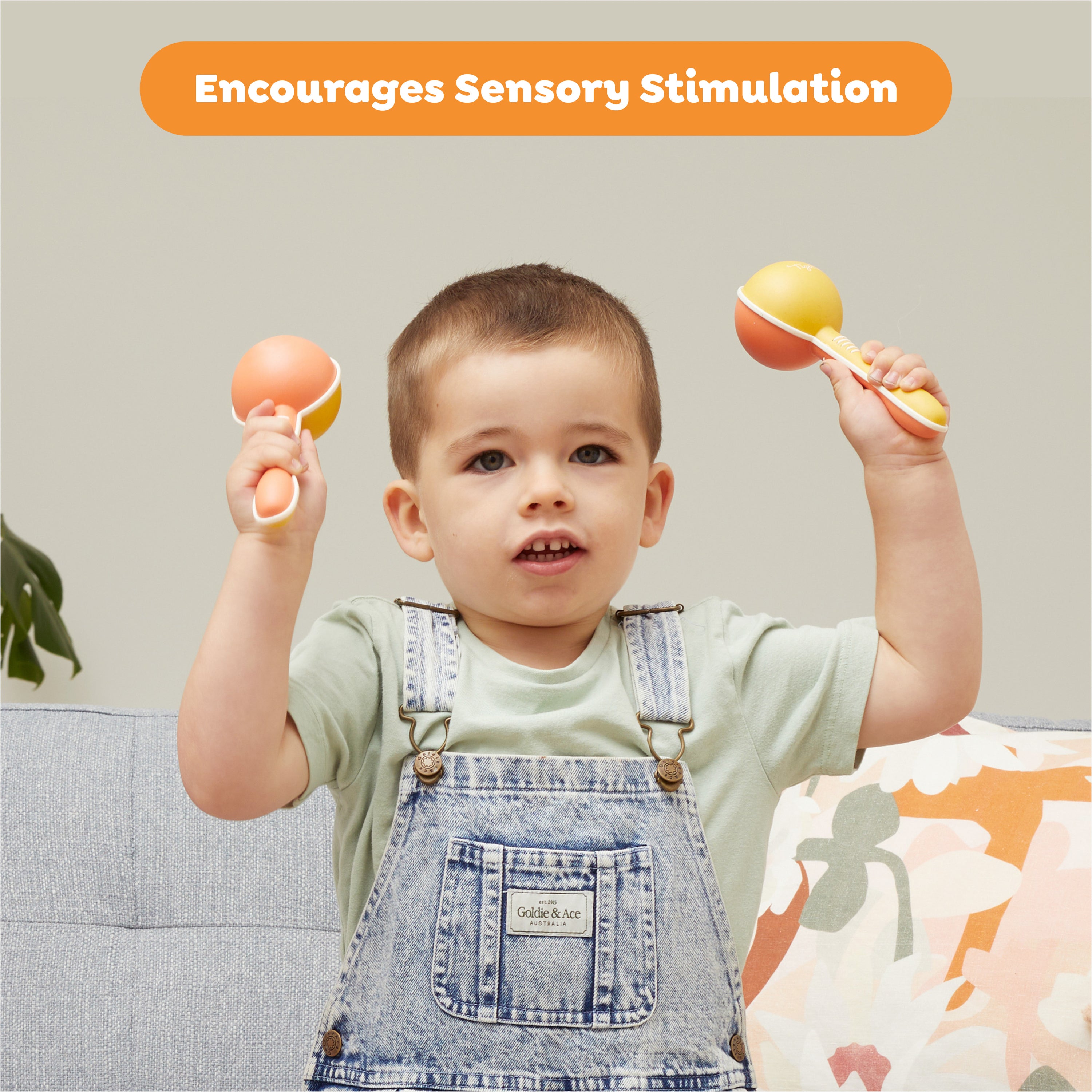 Maracas (12 months +)