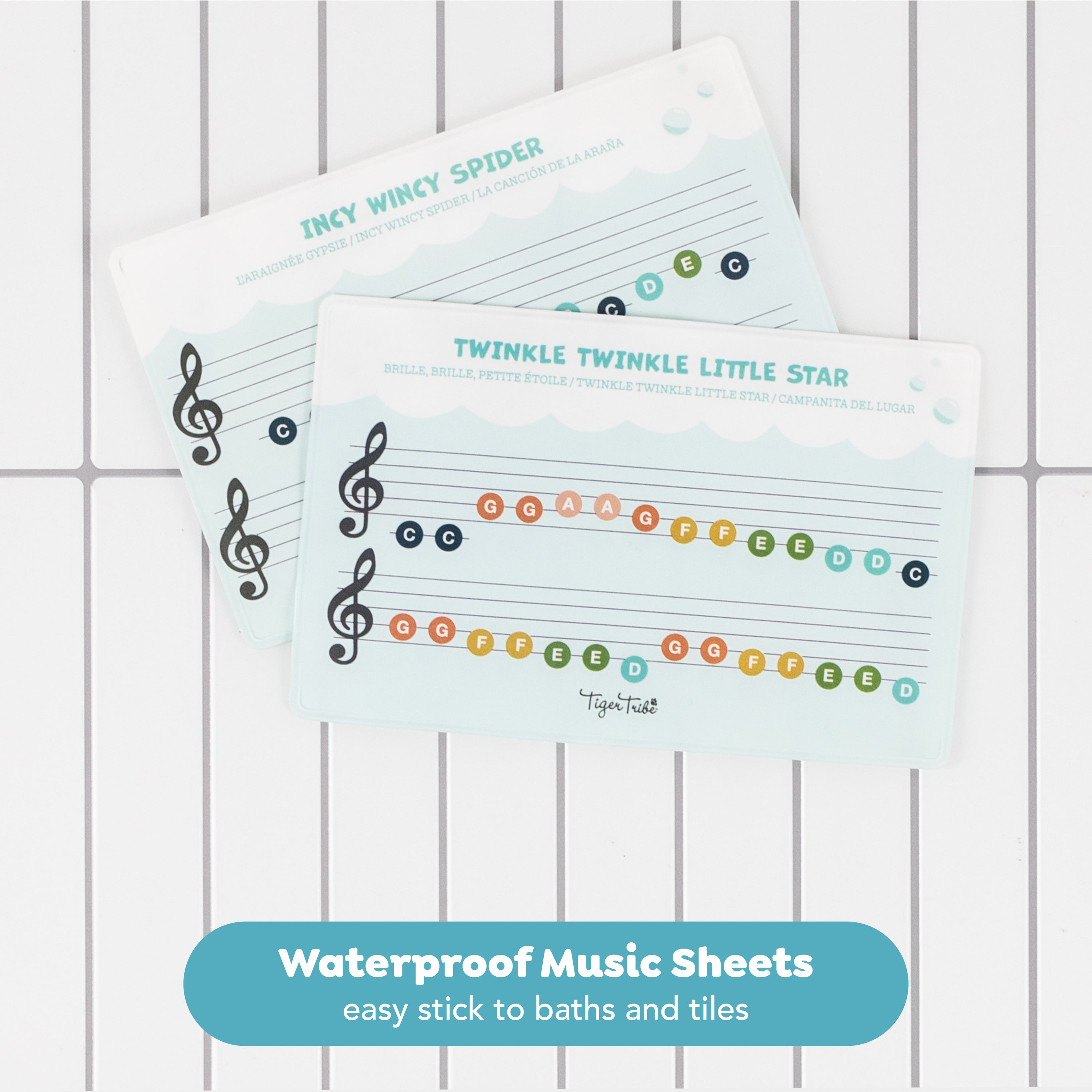 Bath Xylophone (2 Years +)