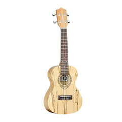 Tanglewood Tiare TWT10 concert ukulele