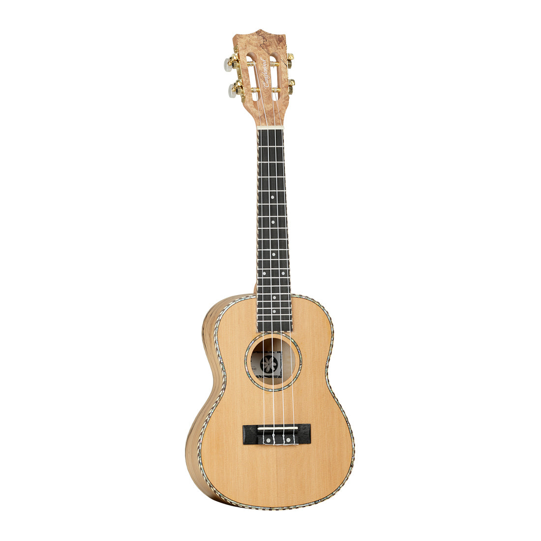 Tanglewood Tiare TWT11 concert ukulele