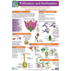 Wallchart, Pollination (Each)