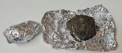 Owl Pellet, Large (Each)