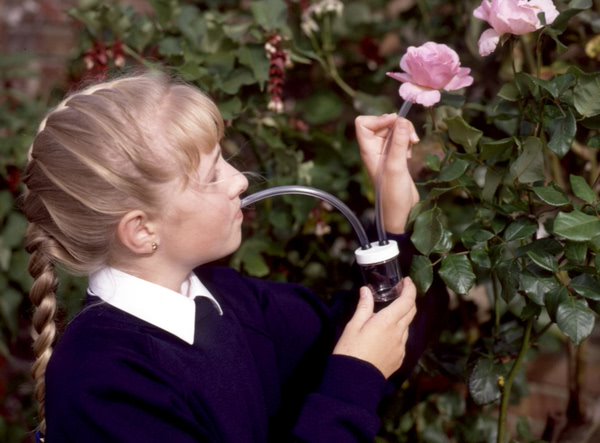 Pooter (Bug Catcher), Pack of 2